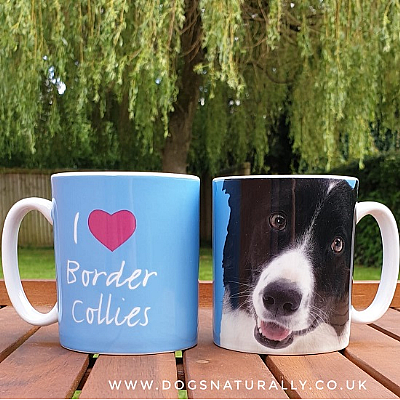 I Love Border Collies Mug
